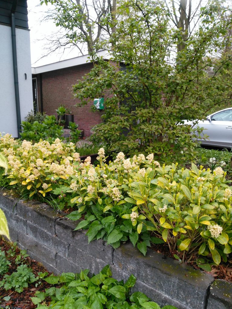 Doorwerth Hammarskjoeldlaan 1